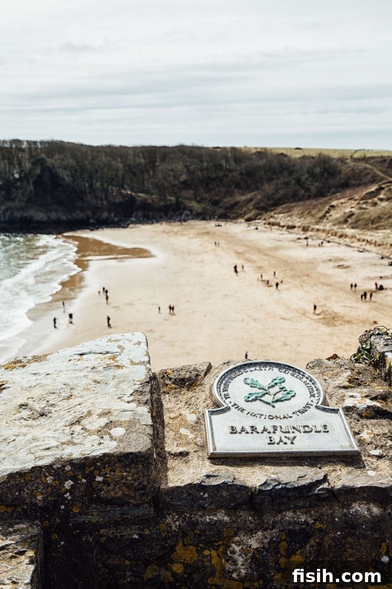 View of Barafundle Bay with sign