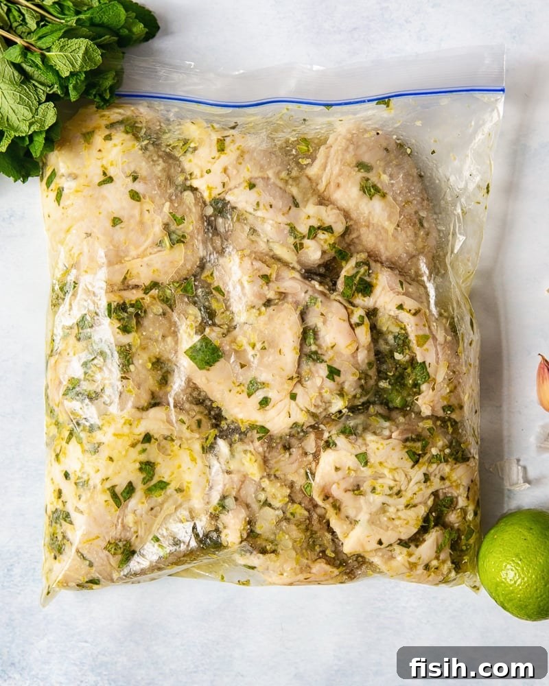Plastic bag containing chicken thighs marinating in a flavorful Mojito mixture