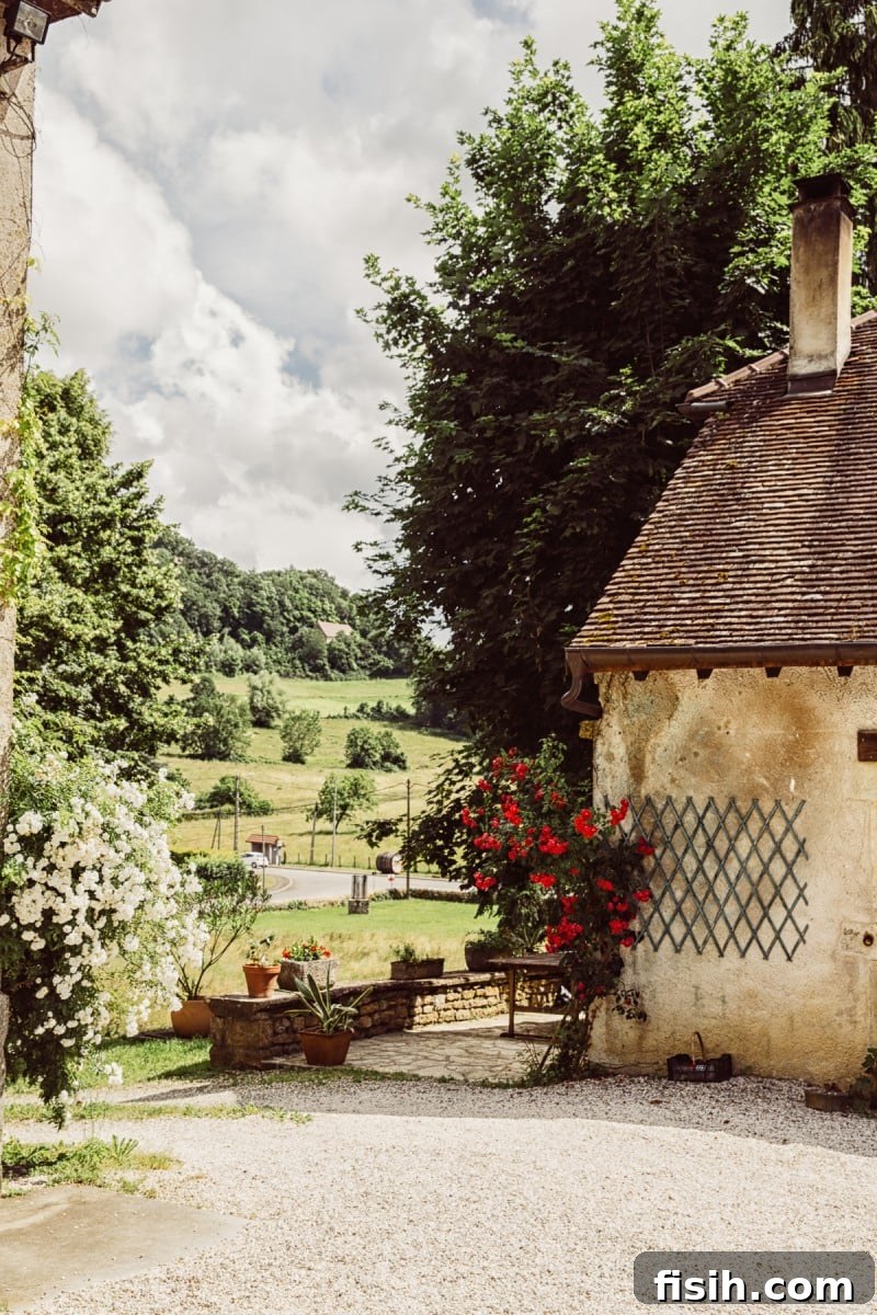 In Search of Comte A Jura Culinary Quest 14 Comté Cheese and My Visit to the Jura Region of France