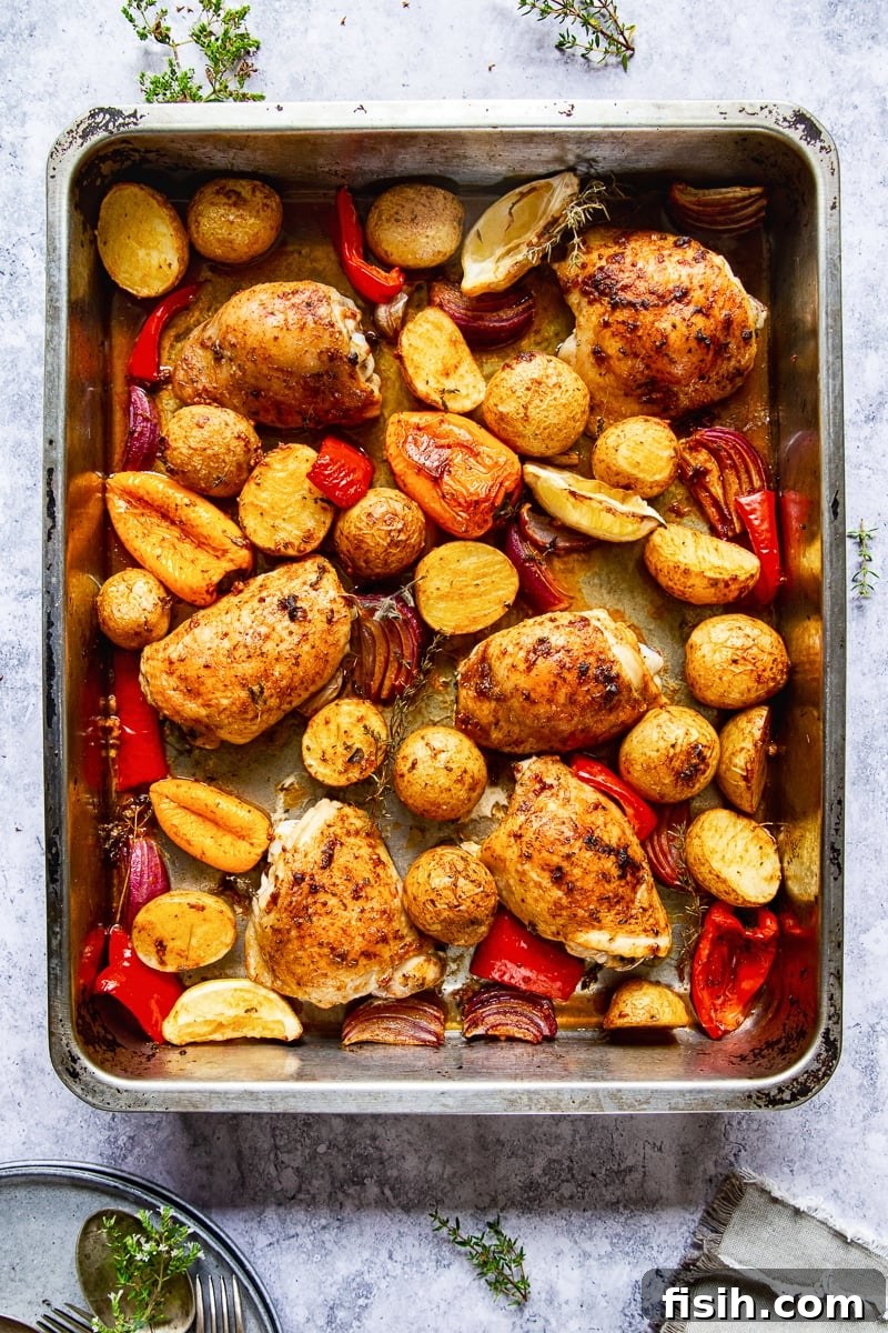 Top-down view of a full tray of Spanish baked chicken and potatoes, ready to serve