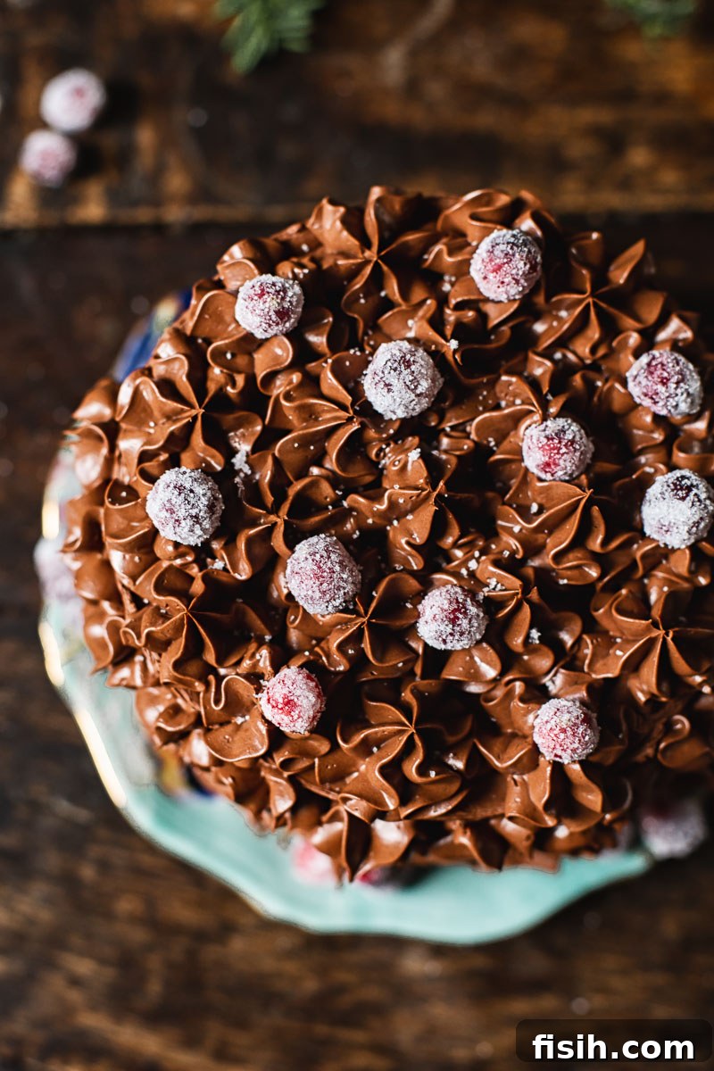 Top-down view of the decorated Christmas chocolate cake, showcasing the sugared cranberries and piped ganache