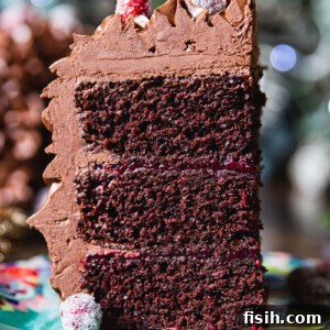 Slice of cake close up