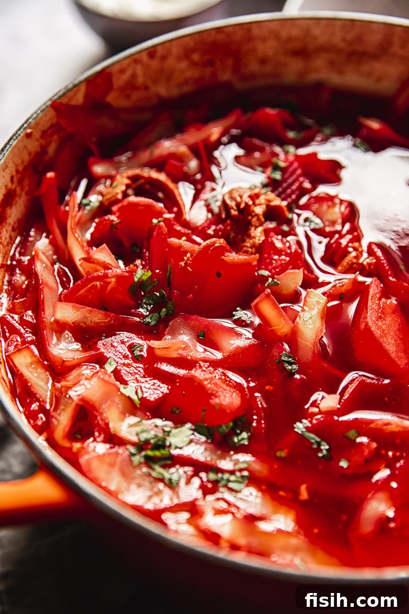 Heartwarming Borscht Made Easy 3 close up of a pot of borscht