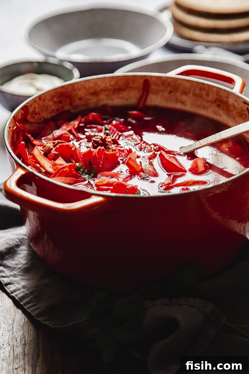 Heartwarming Borscht Made Easy 7 close up of a pot of soup with ladle
