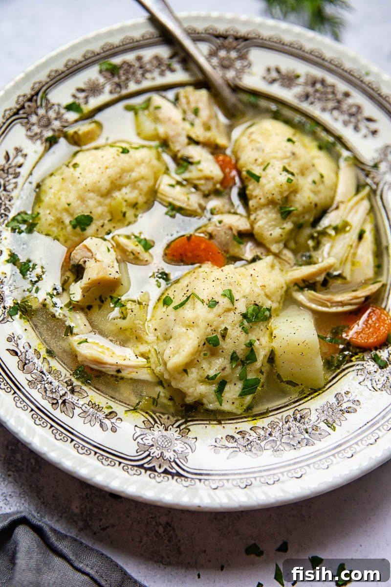 Homemade Chicken and Dumpling Soup with fresh herbs.