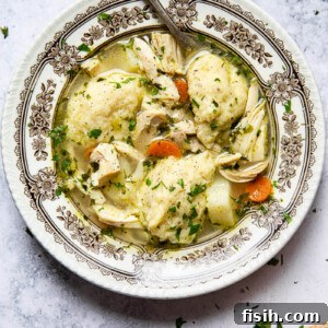 Chicken and Dumpling Soup