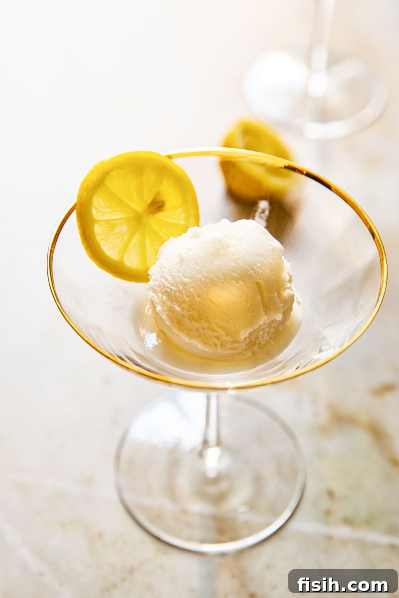 Close-up of lemon sorbet in a cocktail glass, garnished with a fresh lemon slice, ready for Prosecco to be poured.