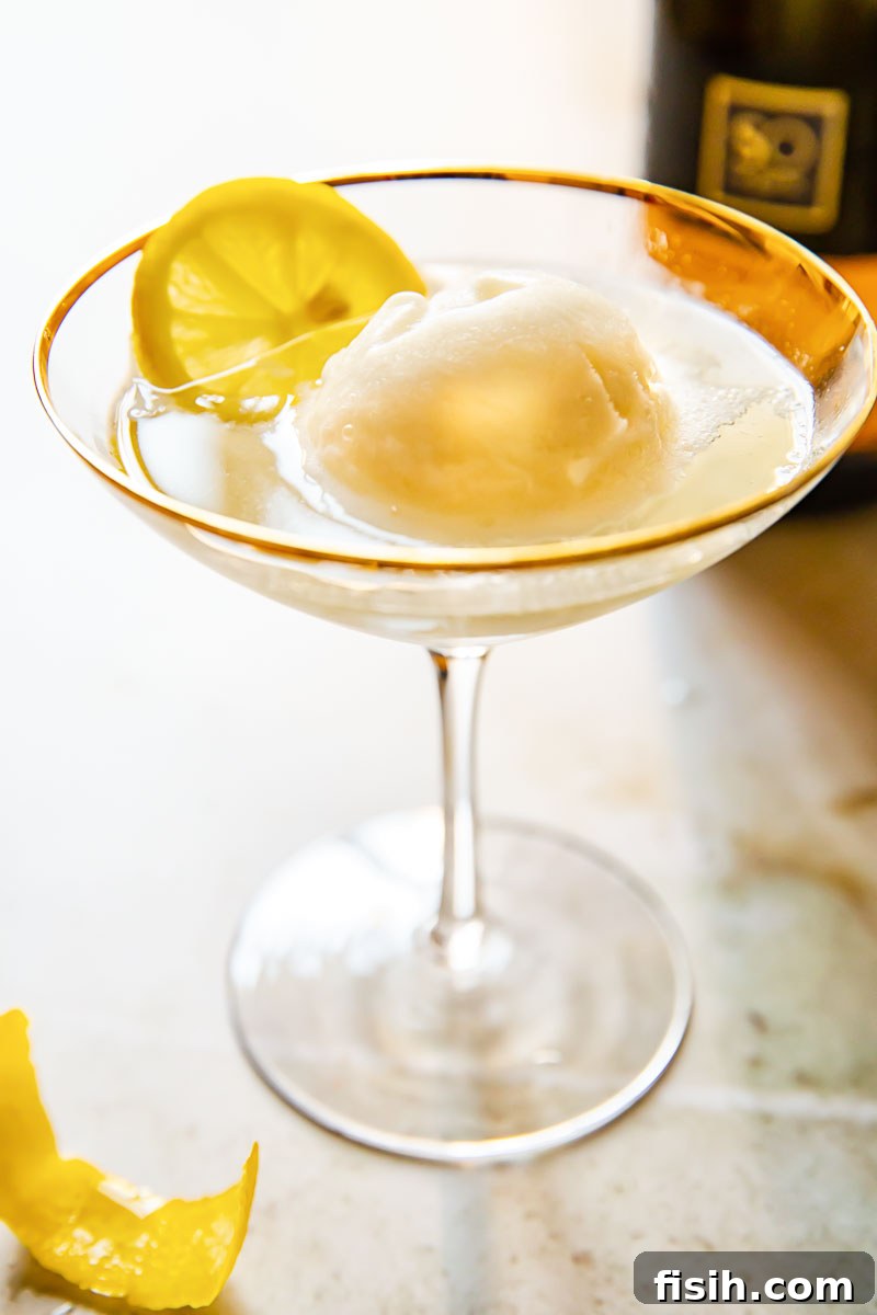 A vibrant Lemon Prosecco Float, known as Sgroppino, served in a stylish cocktail glass with a lemon garnish.