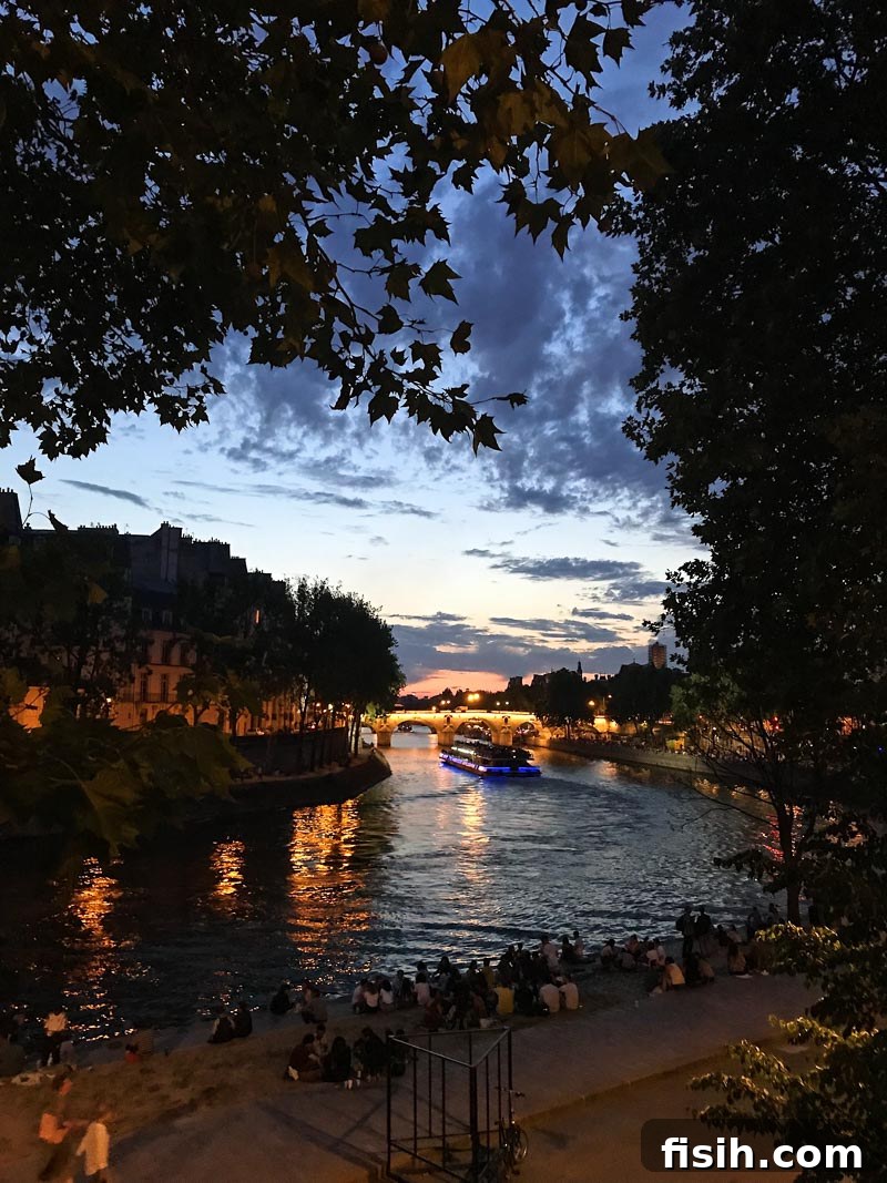 Evening view of the tranquil Seine River with city lights
