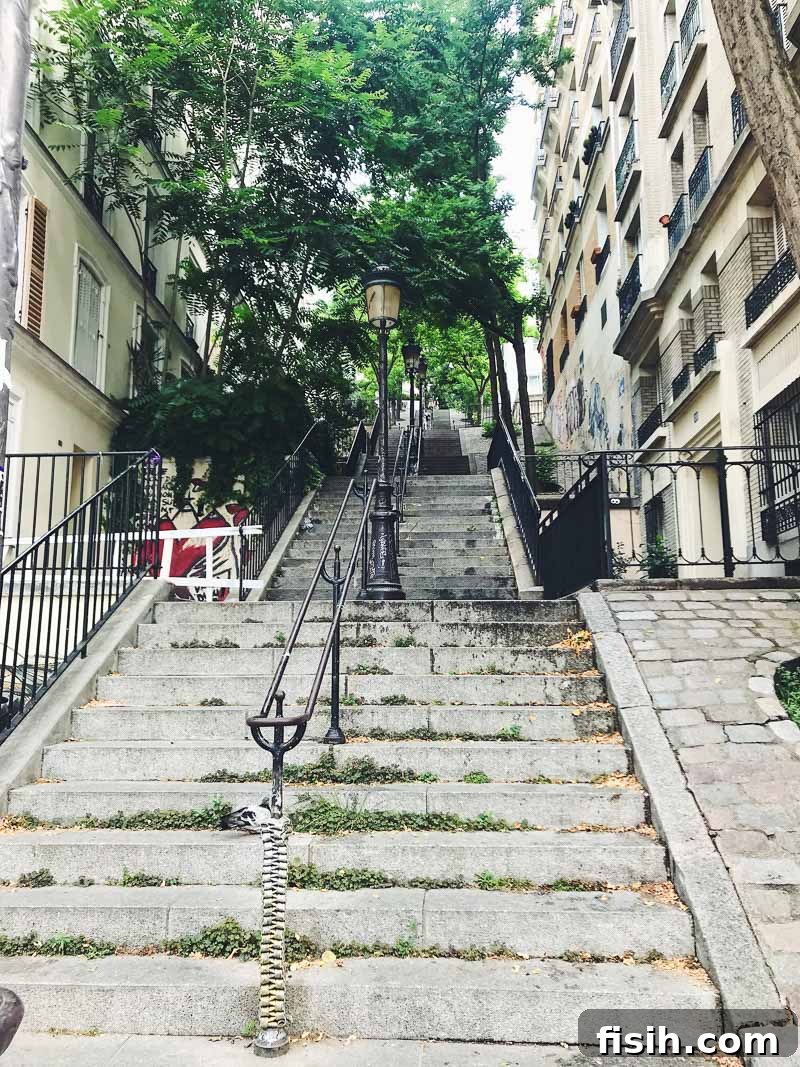 Picturesque set of stairs in Montmartre with charming buildings