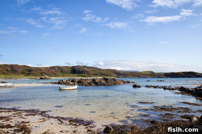 Unveiling Mull's Island Magic 2 Serene beach scene on the Isle of Mull with a white fishing boat in the background and a vast sky above.
