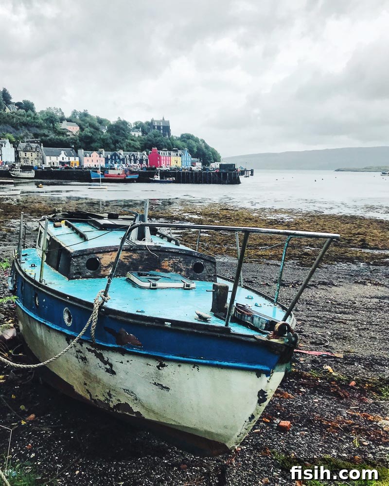 Unveiling Mull's Island Magic 11 An abandoned wooden boat rests on a shore with the colorful houses of Tobermory town in the background under a blue sky.