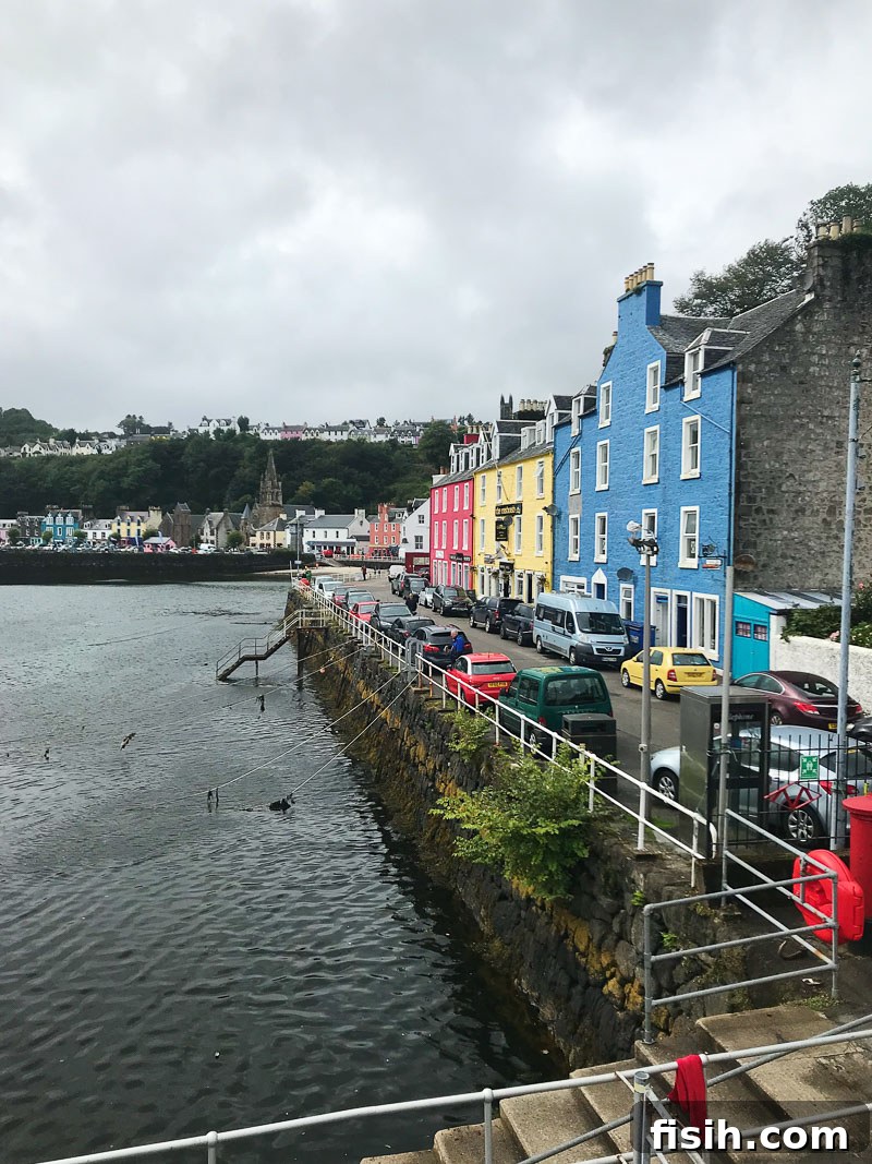 Unveiling Mull's Island Magic 7 Panoramic view of Tobermory harbor with its iconic colorful houses lining the waterfront and boats in the bay.