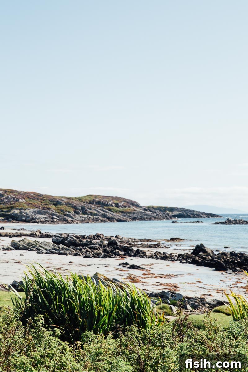 Unveiling Mull's Island Magic 8 Idyllic beach view on the Isle of Mull with golden sand, clear turquoise water, and gentle waves under a bright sky.