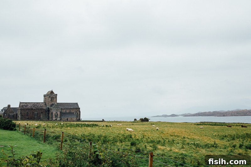 Unveiling Mull's Island Magic 9 Coastal view of the Isle of Iona, with calm blue waters, green hills, and a distant village.