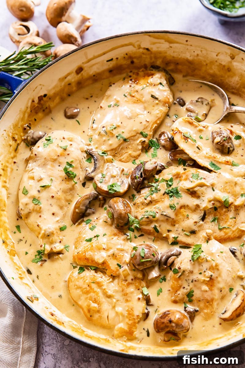 Four golden-brown chicken breasts submerged in a creamy mushroom sauce, served in a cast iron skillet.