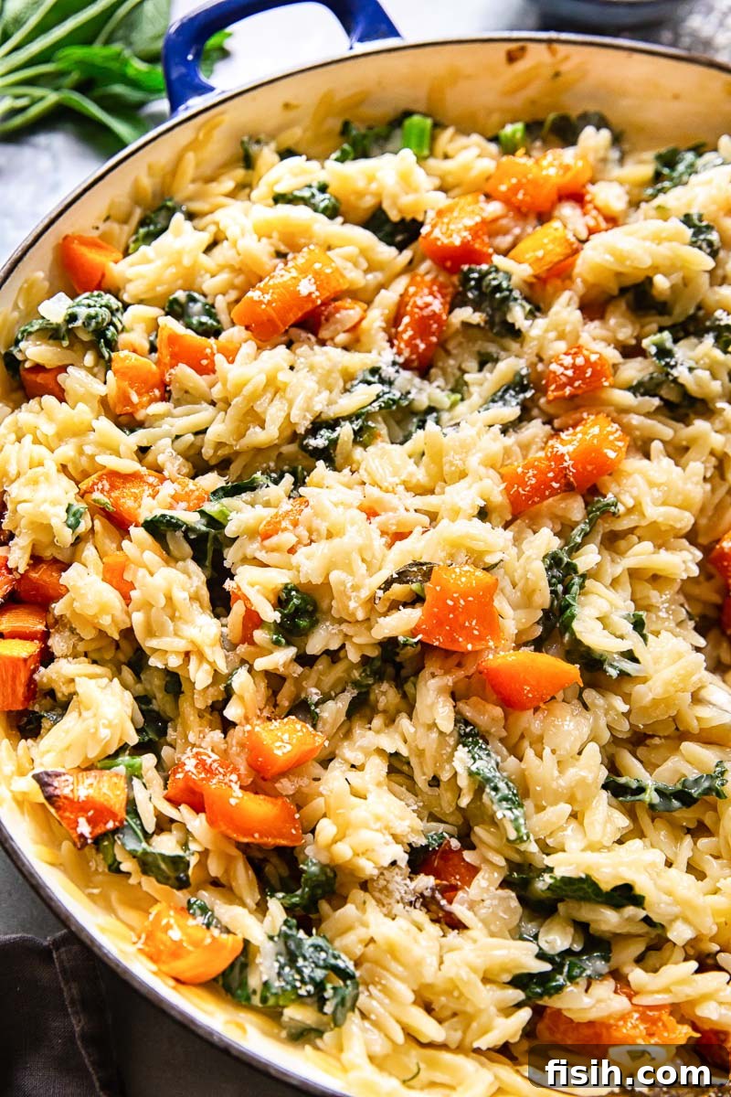 Golden Butternut and Creamy Orzo 5 A large skillet filled with vegetarian one-pan orzo pasta, richly mixed with roasted butternut squash, fresh sage, and kale, showcasing a hearty and vibrant meal ready to be served.