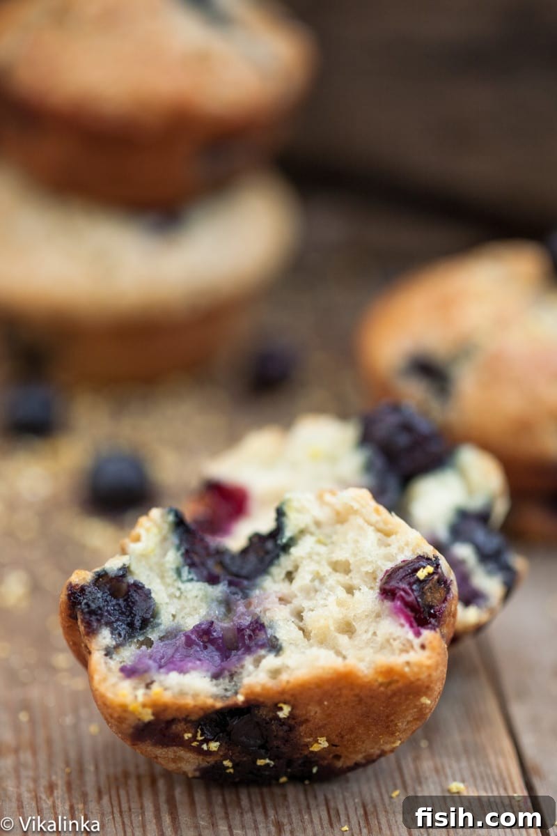Citrus Burst Blueberry Muffins 4 A blueberry muffin broken open, showing its moist and airy interior with blueberries