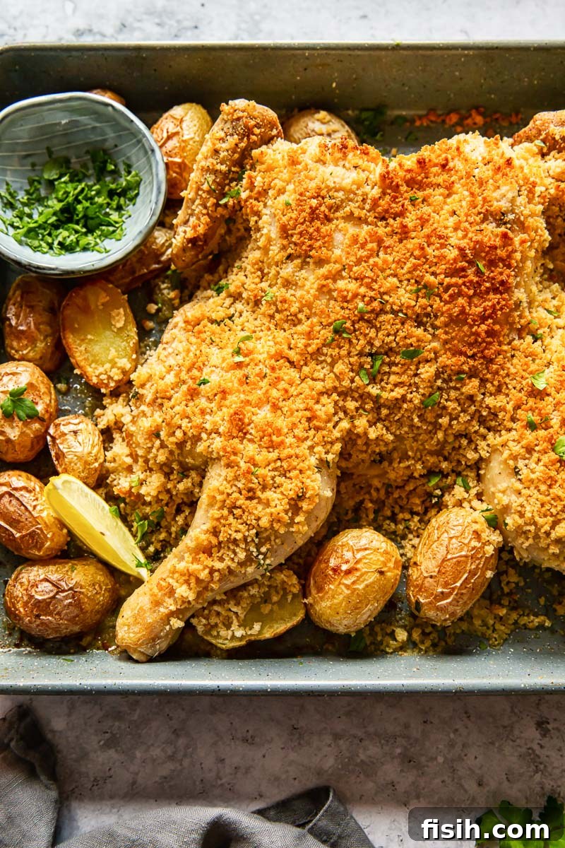 spatchcock chicken coated with breadcrumbs and roast potatoes, ready to be served from a sheet pan