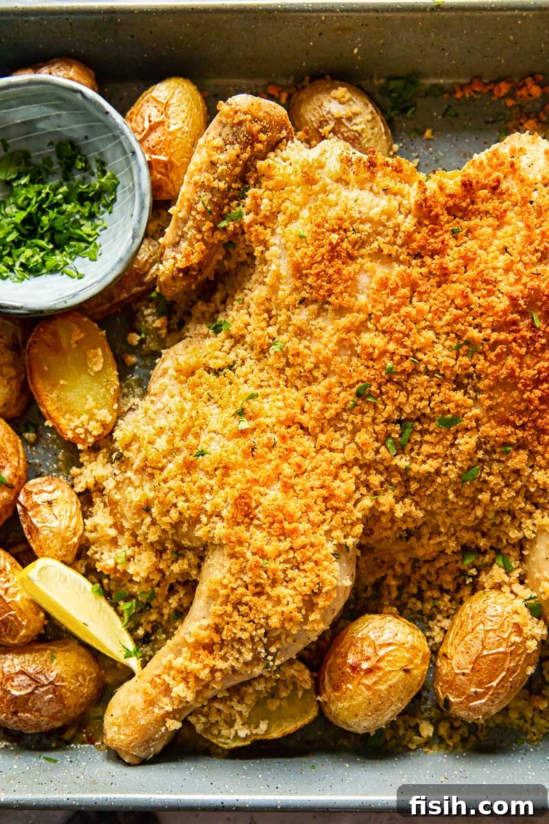 butterflied chicken in breadcrumbs and potatoes on a grey baking pan before roasting