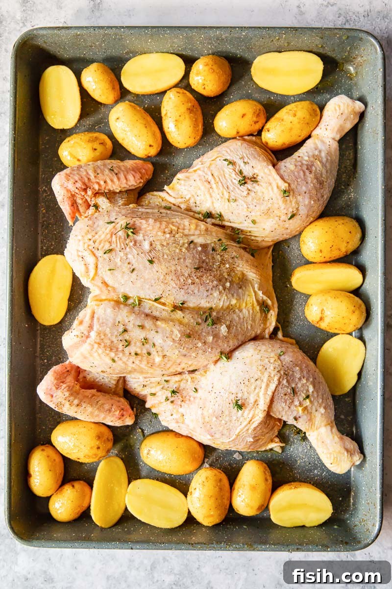 uncooked butterflied chicken seasoned with herbs and potatoes on a baking pan