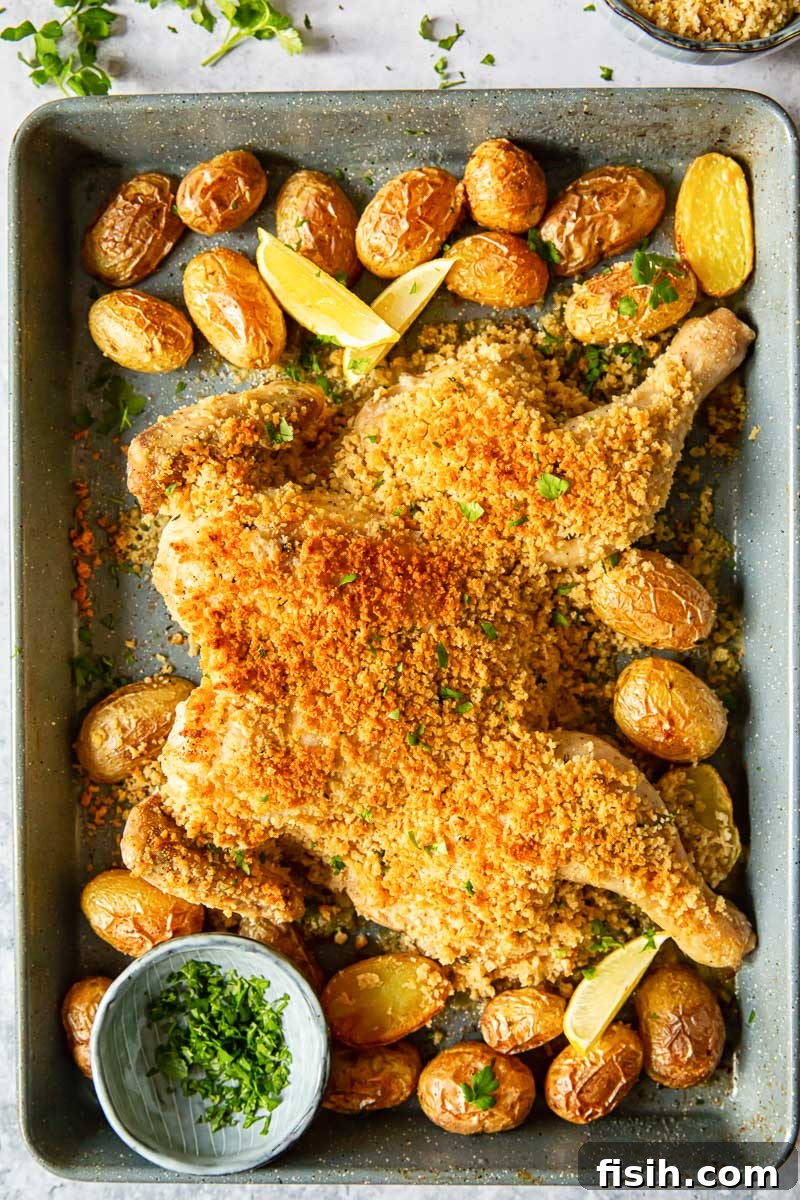 spatchcock chicken with crispy breadcrumbs and baby potatoes on a sheet pan, freshly roasted