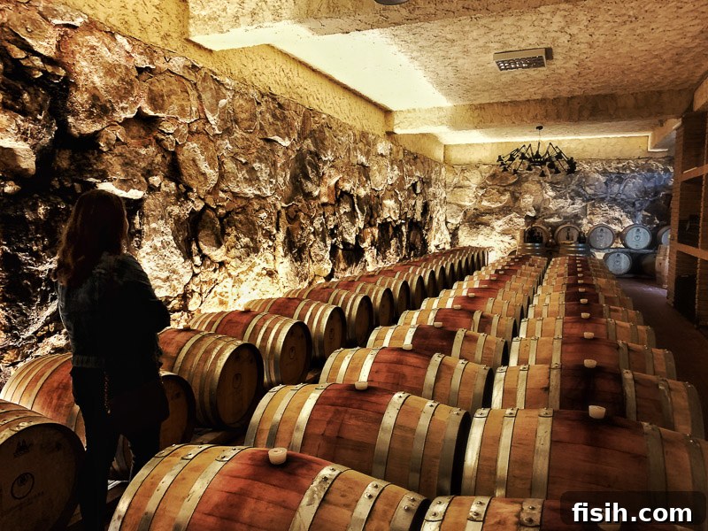 An atmospheric underground wine storage cave in Campania, Italy, lined with rows of wooden barrels and bottles, showcasing traditional aging methods in a cool, dark environment.