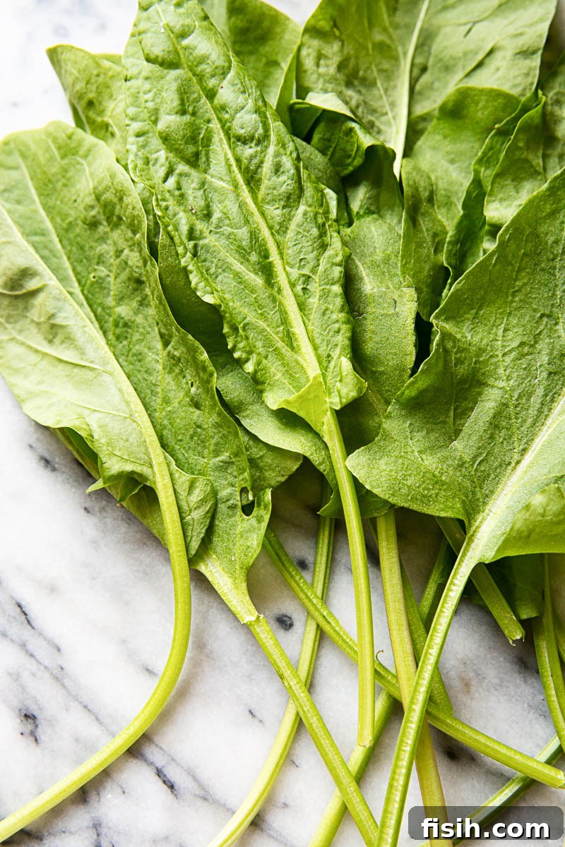 fresh sorrel leaves on marble background