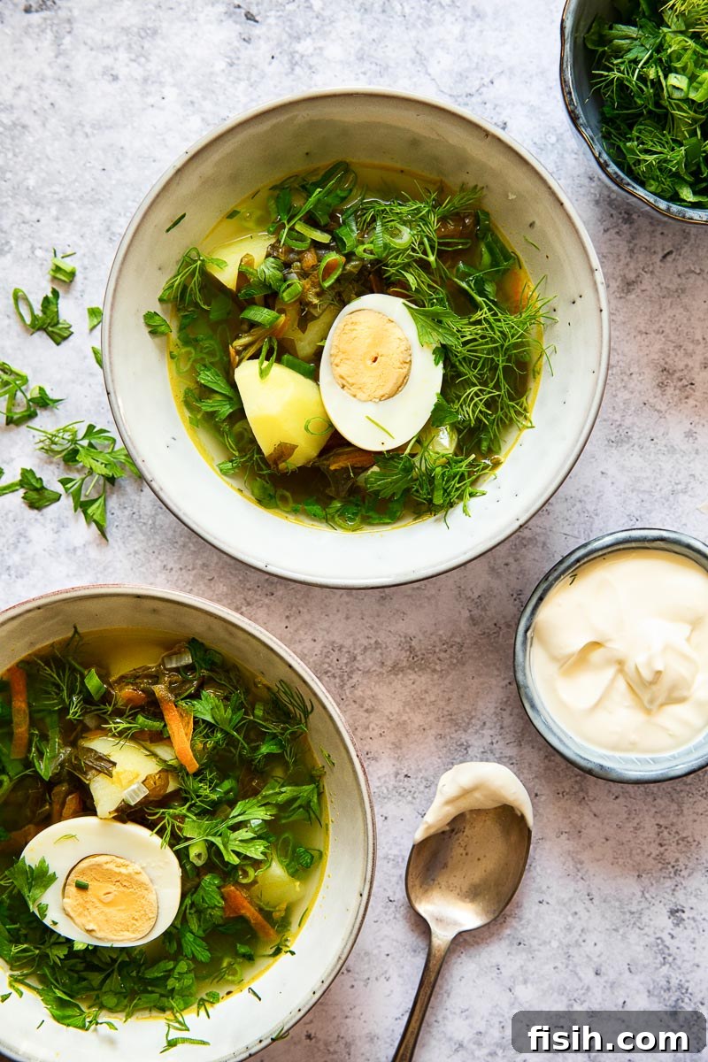 two grey bowl filled with sorrel soup and topped with greens and hard boiled egg on grey background