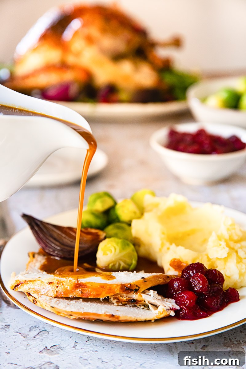 Gravy being poured over slices of roast turkey, illustrating a rich and smooth texture