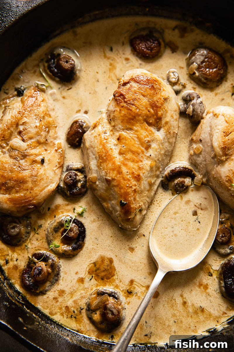 Chicken Supreme in Velvety White Wine Mushroom Cream 2 Tender and juicy chicken breasts with mushrooms and white wine cream sauce in a skillet, ready to serve.