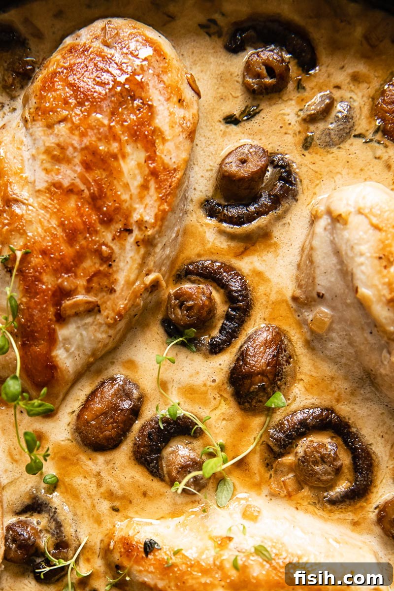 Chicken Supreme in Velvety White Wine Mushroom Cream 6 Close-up of a perfectly cooked Chicken Supreme, showcasing the tender chicken, whole mushrooms, and the rich, glossy cream sauce.