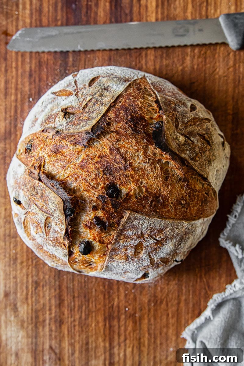 Sweet and Savory Walnut Raisin Sourdough 3 top down view of walnut and raisin bread, showing golden crust