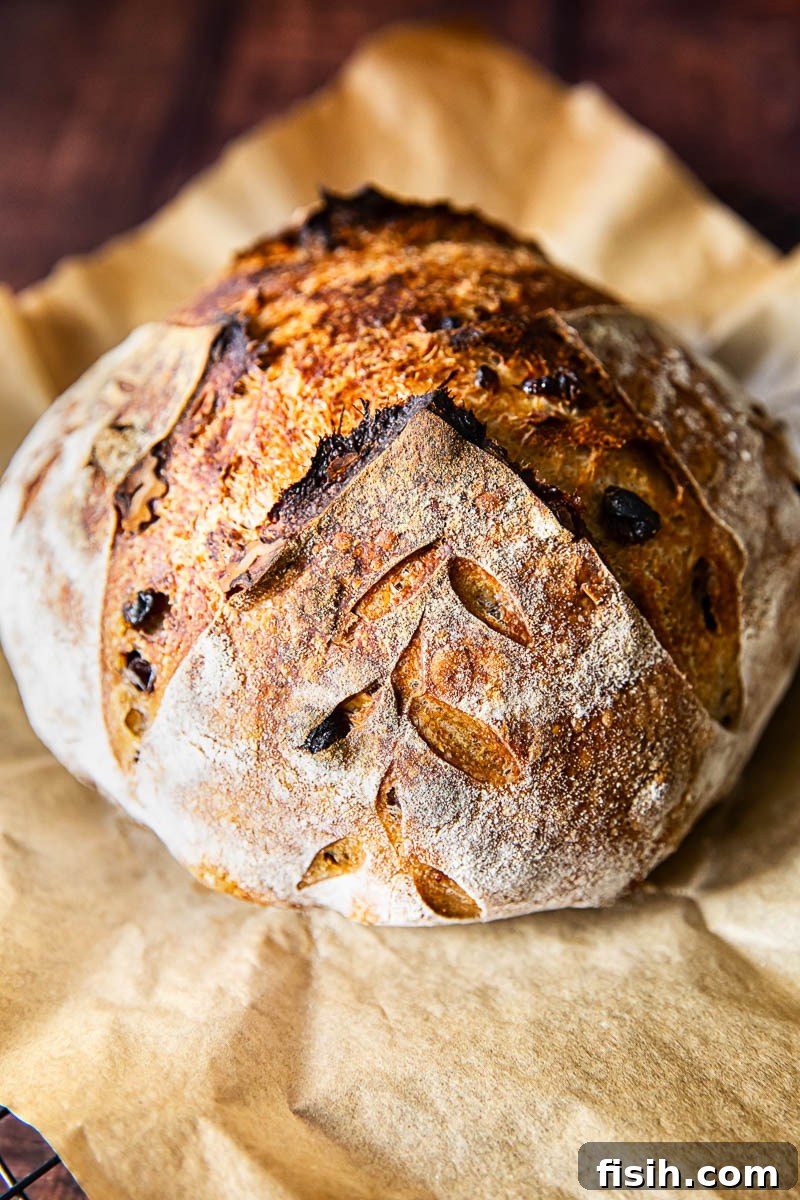 Sweet and Savory Walnut Raisin Sourdough 5 sourdough boule, beautifully scored and baked