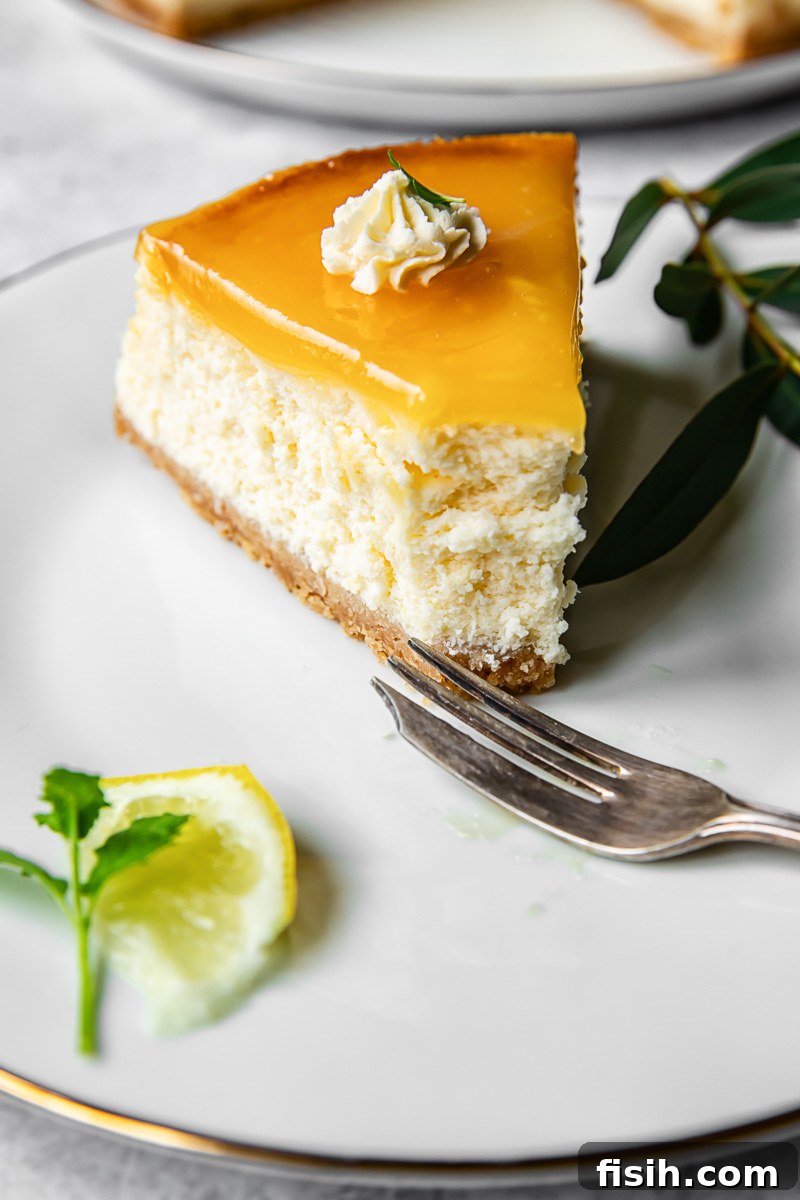 a slice of cheesecake on a plate
