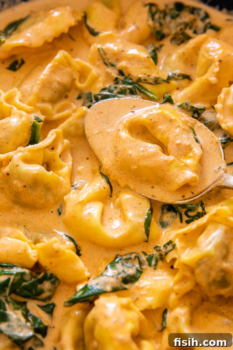 Close-up view of perfectly cooked tortelloni coated in a rich creamy tomato sauce, garnished with fresh spinach.