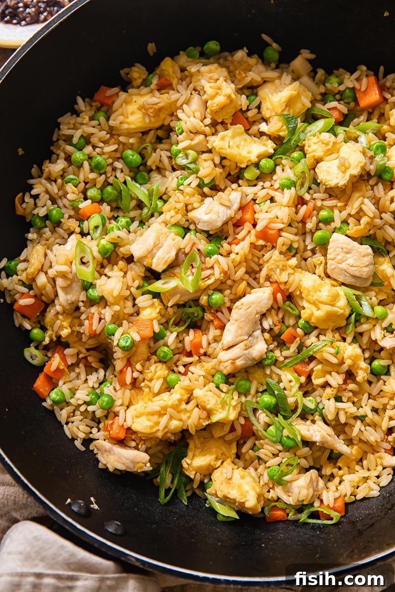Wok-Kissed Chicken Fried Rice 2 fried rice with chicken