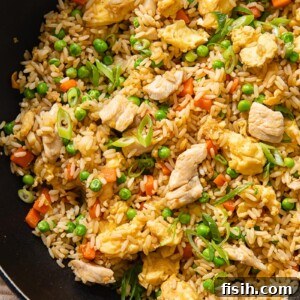 fried rice with chicken