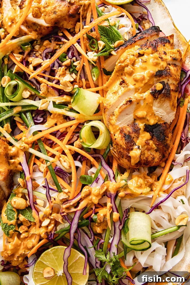 Close-up view of the Thai grilled chicken salad, highlighting the texture of the chicken, the crispness of the vegetables, and the rich coating of peanut sauce.