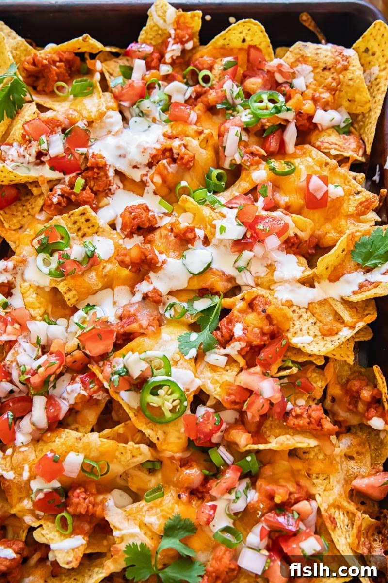nachos topped with chorizo sausage and pico de gallo