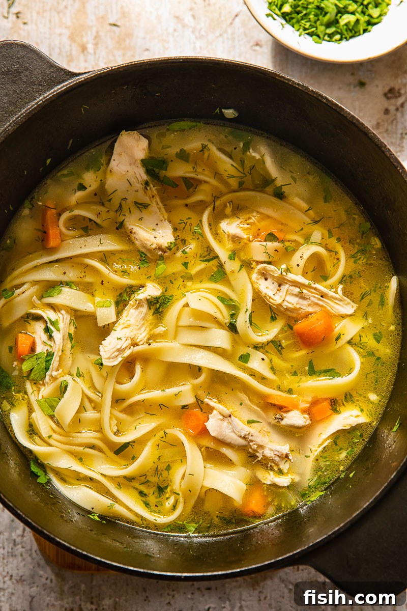 Grandma's Comforting Chicken Noodle 2 top down view of chicken noodle soup in a pot