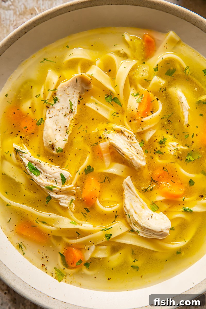 Grandma's Comforting Chicken Noodle 3 chicken soup in a bowl with noodles and carrots