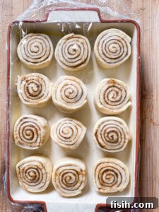 unbaked cinnamon rolls in a pan