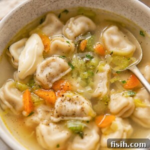 top down view of a bowl of soup with dumplings and vegetables