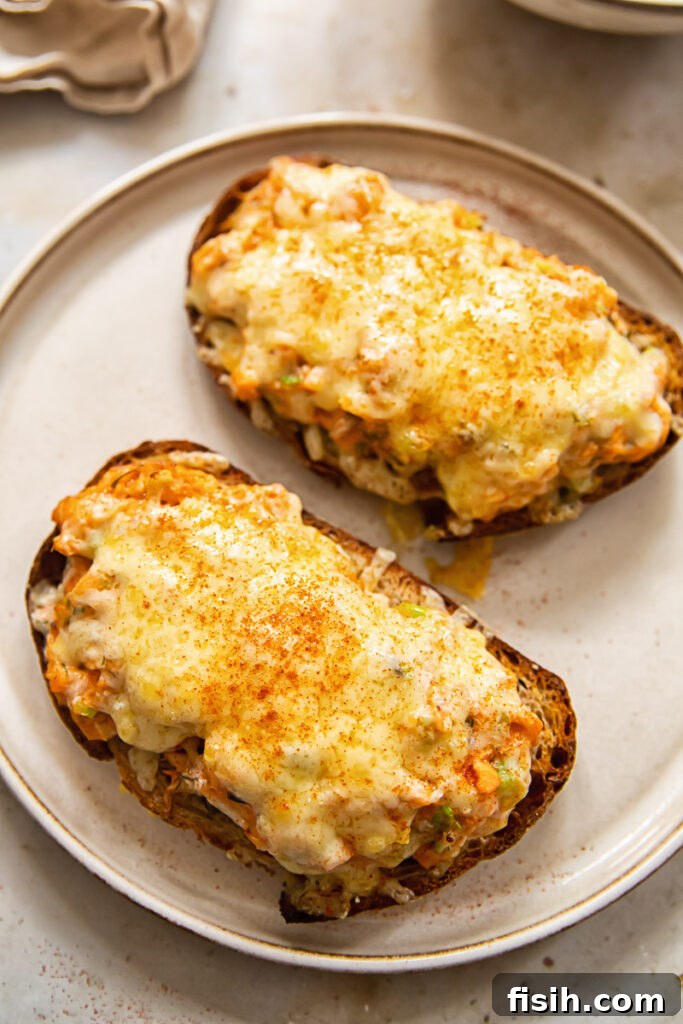 Two slices of golden-brown, crusty bread, generously topped with melted sharp cheddar cheese and a flavorful salmon mixture, ready to be served.
