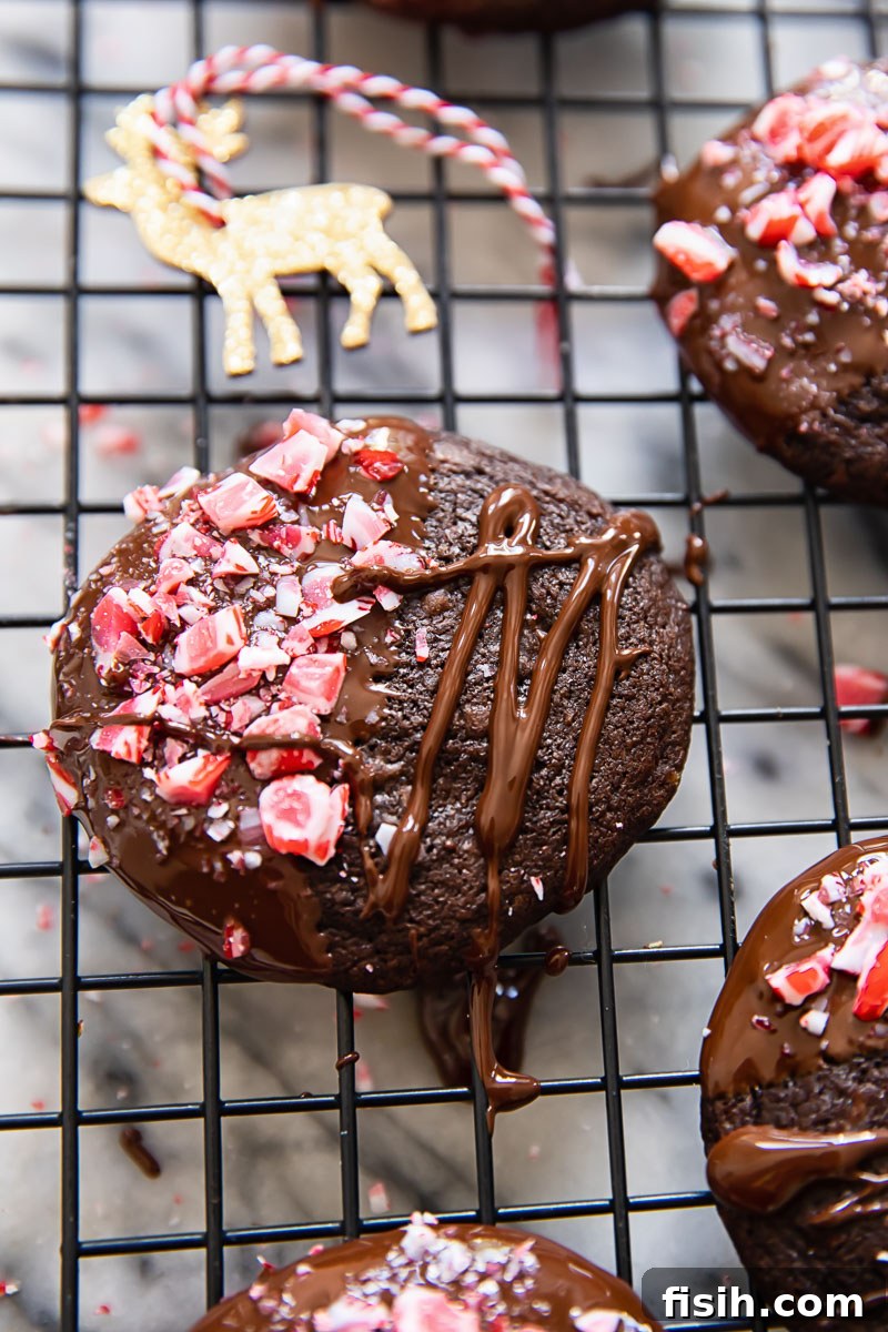 Close-up shot highlighting the detailed texture and vibrant colors of a single chocolate candy cane cookie, showcasing the crushed peppermint pieces.