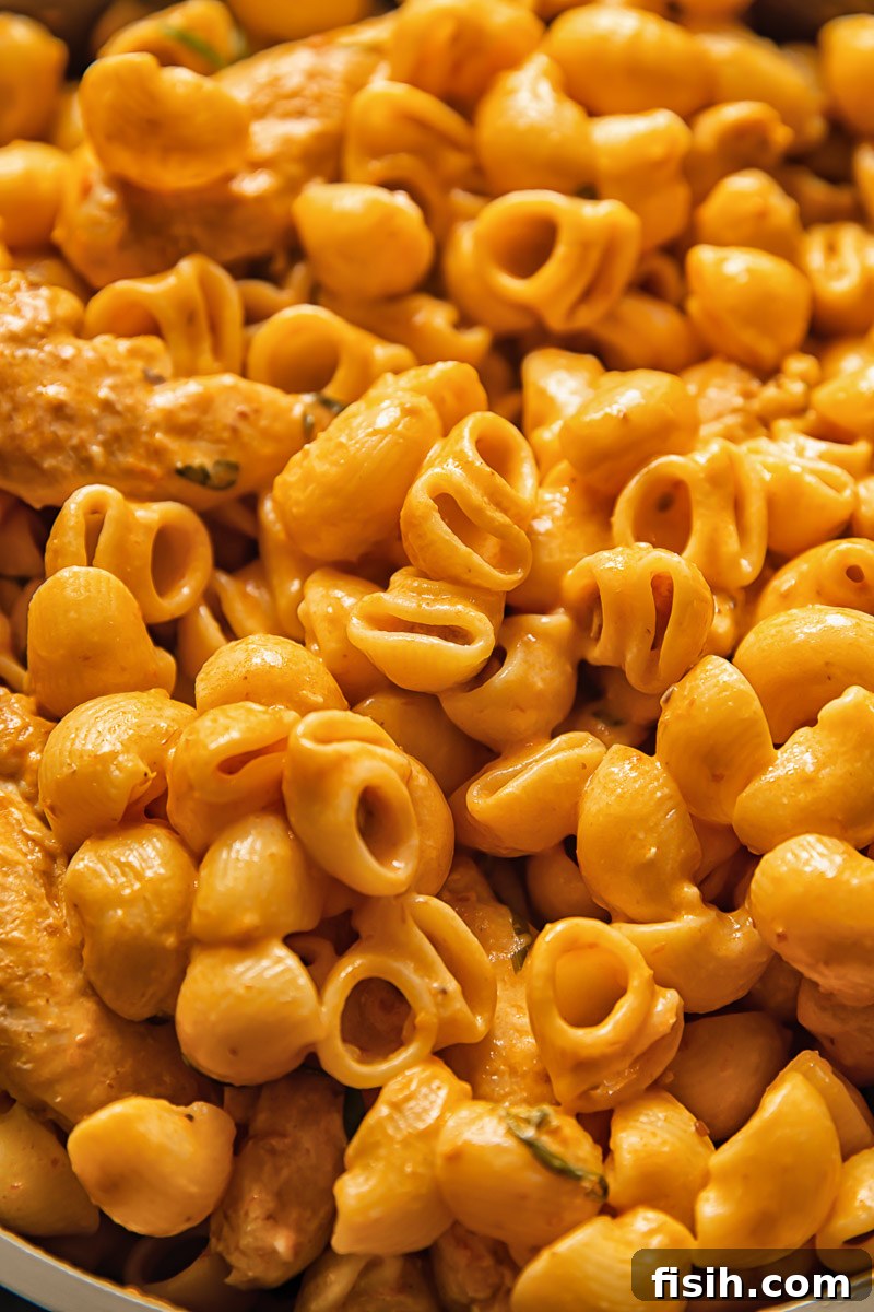 Close-up of creamy tomato pasta with chicken and basil