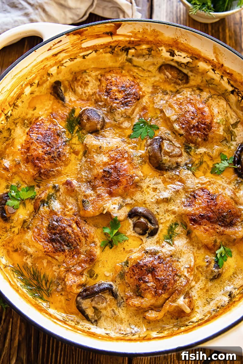 Tangy Cream Braised Chicken and Mushrooms 2 top down view of chicken and mushrooms in a creamy sauce in a round pan