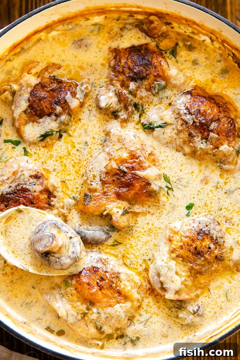 Tangy Cream Braised Chicken and Mushrooms 3 close up of chicken in a cream sauce