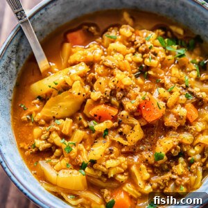 close up of a bowl of cabbage soup with beef